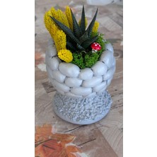 İvis Taş Saksıda Özel Tasarım Teraryum Gri Renk