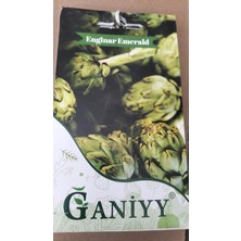 Ganiyy Enginar Tohumu