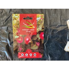 İstanbul Tohumculuk Istanbul Tohumculuk Sarmaşık Kırmızı Çiçeği