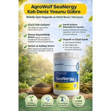 Gardenya Agrowolf Seanergy Katı Deniz Yosunu Gübre 0.4 kg – Organik Kaynaklı Bitki Gelişim Destekleyici