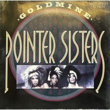 Kadıköy Plak Kulübü Pointer Sisters – Goldmine
