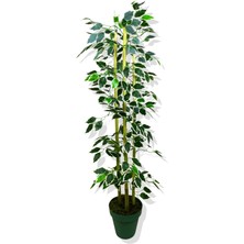 Cihan Çiçekçilik YAPAY YAPRAKLI FICUS 3 BAMBU'LU 110 CM