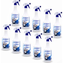 Dermosept Alet Yüzey Dezenfektanı Tools Af 1000 ml - 10 Adet