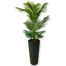 Cihan Çiçekçilik AREKA 150 CM 12 YAPRAK YAPAY AĞAÇ 56X30X20 ANTRASİT KUMSAL SAKSI