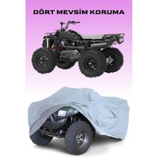 Breen Gri Loncin Xwolf 300 Atv Brandası