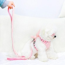 Alfa Life Marketing Evcil Hayvan Peluş Ayıcıklı Göğüs Gezdirme Tasması Set