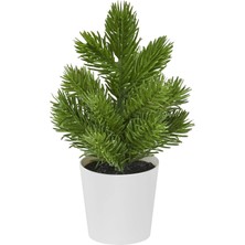 Ikea Vınterfınt Yapay Bitki Yeşil 6 cm Çam