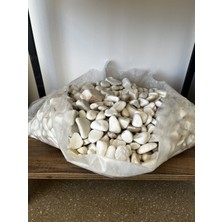 ERG Peyzaj Orta Boy Dolomit Taşı