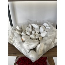 ERG Peyzaj Büyük Dolomit Taşı