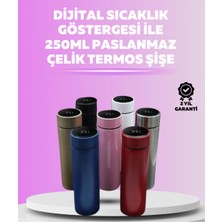 LED Sıcaklık Ölçerli 250 ml Yalıtımlı Termos Şişe Tdms-07