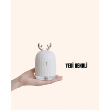 El Tipi USB Mini Soğuk Mist Nemlendirici 220 ML Tank Tdms-07