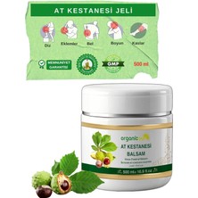 Storemax Toptassell Organicsun At Kestanesi Balsamı Jeli Kas ve Eklem Besleyici Masaj Kremi 500 ml