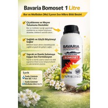 Planta Bavaria Bomoset Bor (B) ve Molibden (Mo) Içeren Sıvı Mikro Bitki Besini 1 L – Çiçeklenme ve Meyve Tutumu Destekleyici
