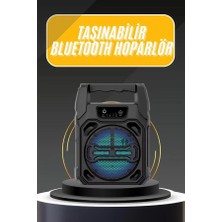 Karaoke Mikrofonlu Fm Radyolu Bluetooth Hoparlör Yüksek Ses Kaliteli Tdms-07