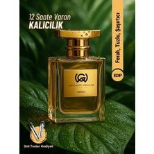 Giovanni William Nerida Erkek Parfüm Yazlık Deniz Yosunu Edp | Güçlü Kalıcı Yayılımlı | Bergamot, Misk, Odunsu Notalar