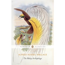 Storemax NO35 The Malay Archipelago