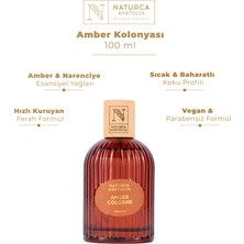 Amber Kolonyası 100 Ml