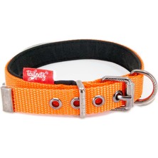 Storemax NO35 Tailpetz Yumuşak Dokulu Köpek Boyun Tasması - Rahat ve Dayanıklı, Konforlu (Turuncu, Large 37-45CM)