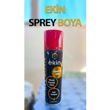 Ekin Sprey Boya 200 ml Orjinal Ral Rengi