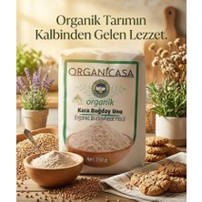 Organicasa Organik Kara Buğday Unu 750 gr