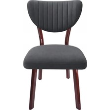 ProBella Elma Mutfak Sandalyesi Yemek Odası Bahçe Balkon Otel Restoran Kafe Sandalyesi