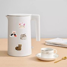 Pileli Store Çılgın Kediler Macbook Notebook Tablet Telefon Ajanda Laptop Defter Sticker Seti