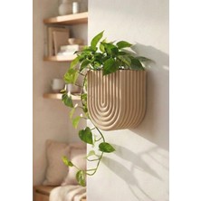Puffin Design Wave Duvar Saksısı
