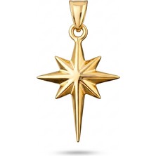Zeya Kuyumculuk 14 Ayar Altın Kutup Yıldızı Kolye Ucu
