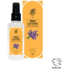 Poyraz Market Rebul 125ML Lavanta Spreyli Kolonya Pet
