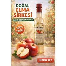Elma Sirkesi