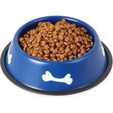 Pileli Store Renkli Kemik Desenli Metal Mama Kabı