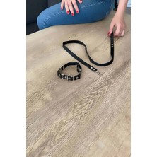 Pileli Store Kedi Harness , Gezdirme ve Boyun Tasması - NPC002