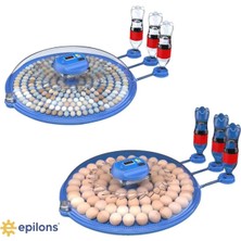 Pileli Store 80 Tavuk 240 Kuş Yumurta Kapasiteli Çift Viyollü Kuluçka Makinesi - Kaz, Ördek, Tavuk, Bıldır