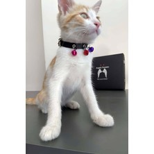 Pileli Store 3 Zilli Kedi Tasması, Deri Kedi Tasması - NPC009