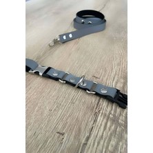 Pileli Store Kedi Reflektörlü Harness , Kedi Boyun Tasması - NPC002