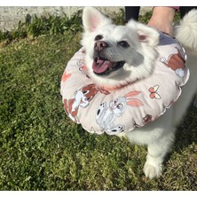 Petris Kedi ve K.ırk Köpek Boyunluk-Elizabeth Yakalık Operasyon Boyunluk-Kedi Boyun Yastığı (Turuncu Tavşanlar)