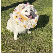 Petris Kedi ve K.ırk Köpek Boyunluk-Elizabeth Yakalık Operasyon Boyunluk-Kedi Boyun Yastığı(Arılar)