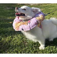 Petris Kedi ve K.ırk Köpek Boyunluk-Elizabeth Yakalık Operasyon Boyunluk-Kedi Boyun Yastığı(Kaplanlar)