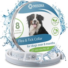 KitchenAid Mutfakaid KP2671XGN Profesyonel 6-Quart Stand Mixer, Empire Green