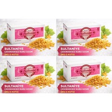 Tariş Sultaniye Çekirdeksiz Kuru Üzüm 20KG (4pk*5kg)