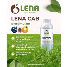Lena Cab 1 Lt Kalsiyum, Bor ve Aminoasit Içerikli