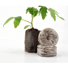 HG Hindistan Cevizi Torfu Tablet (Cocopeat) - 12 Adet