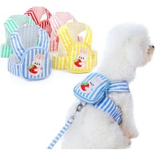 EkoAlışverişDünyam Evcil Hayvan Çantalı Göğüs Gezdirme Tasması Seti