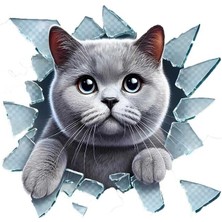 EkoAlışverişDünyam Fulcar British Araç Stickerı