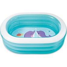 Depomiks Şeffaf Oval Havuz 163X107X46 cm