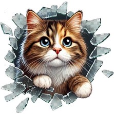 EkoAlışverişDünyam Fulcar Stray Araç Stickerı