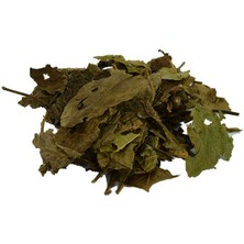 Virtustore Ceviz Yaprağı Doğal 100 gr Paket