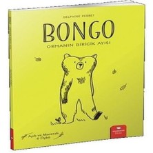 Virtustore Bongo: Ormanın Biricik Ayısı