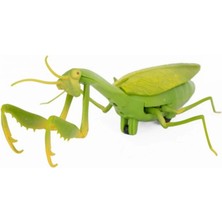 Epilons Mey Ithalat® Oyuncak Işıklı Çekirge