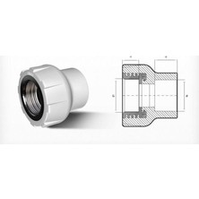 Epilons Ege Yıldız Pprc 63X2 Dişi Adaptör Gri